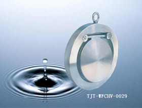 Stainless Steel Wafer Single Plate Check Valve /DN50-DN600