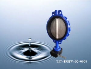 Stainless Steel Wafer Butterfly Valve With Gear Box /DN40-DN1200