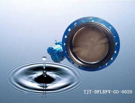 Stainless Steel Disc Double Flange Butterfly Valve Without Pin/ DN50-DN2000