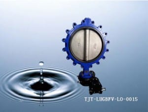 Stainless Steel Disc Lug Butterfly Valve With Gear Box/DN40-DN800