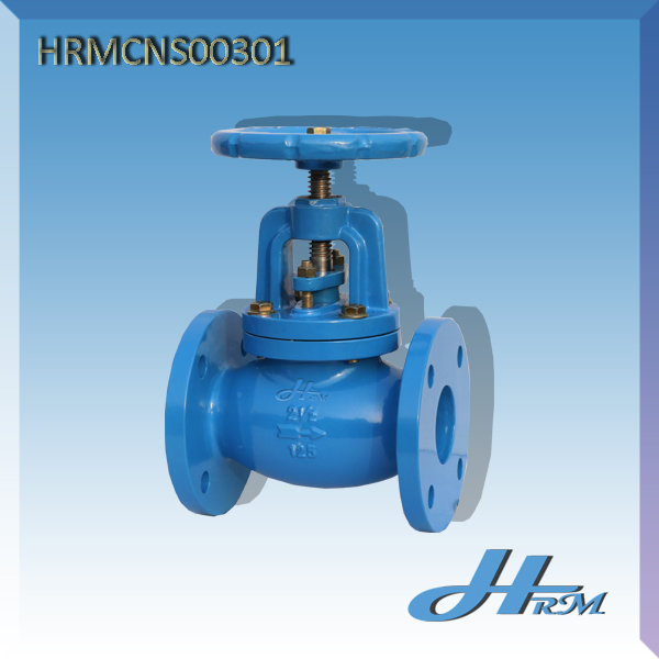 HRMCNS00301 07 GLOBE VALVE