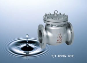 WCB/Stainless steel Flanged swing check valve /DN15-DN500